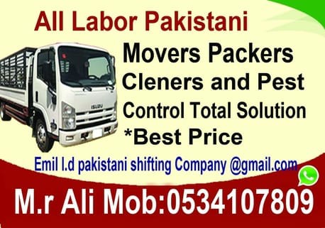 Pest Control Services